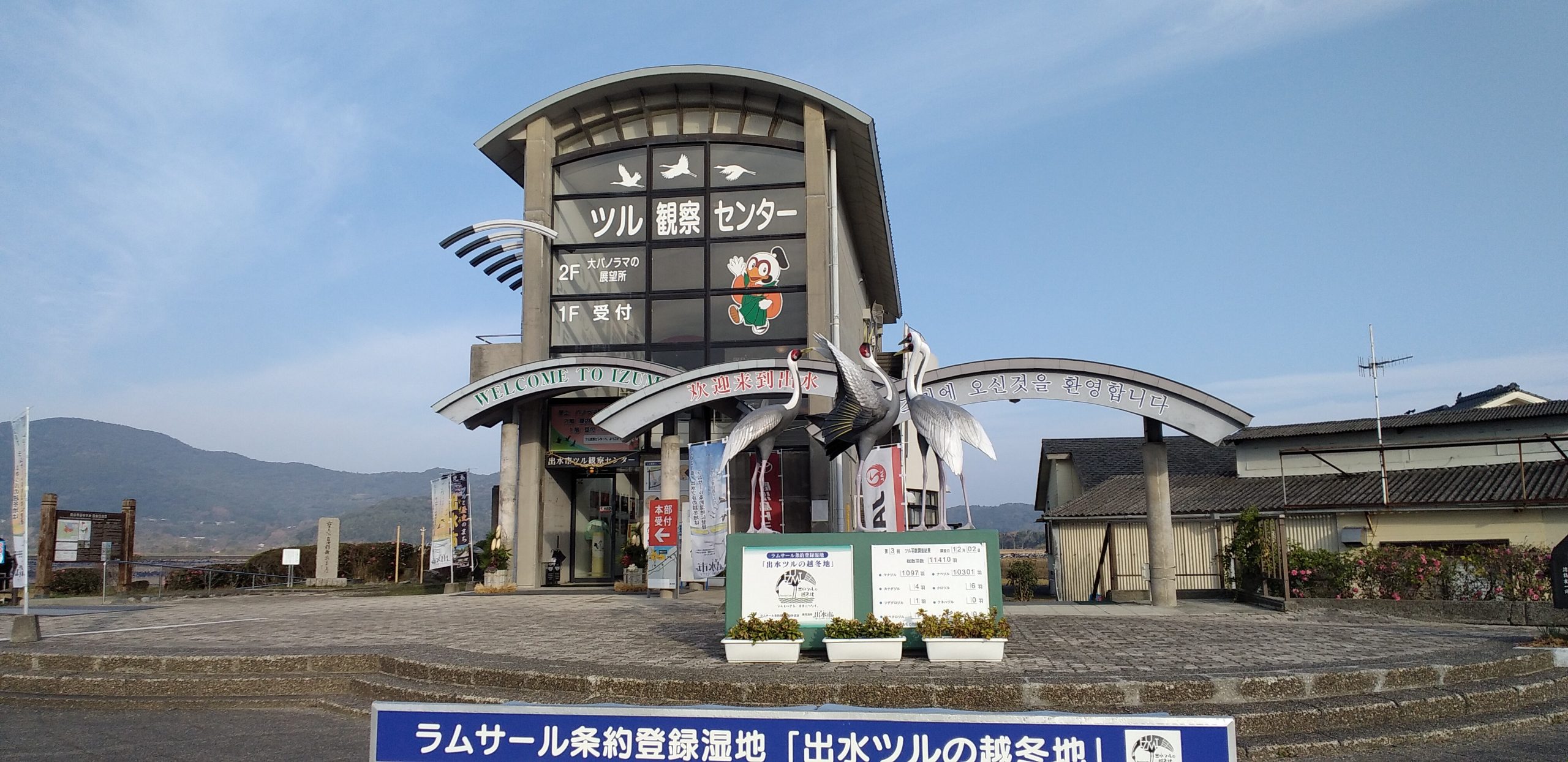 【Internship Site Introduction】Izumi City Crane Museum (Kagoshima-ken, Japan)