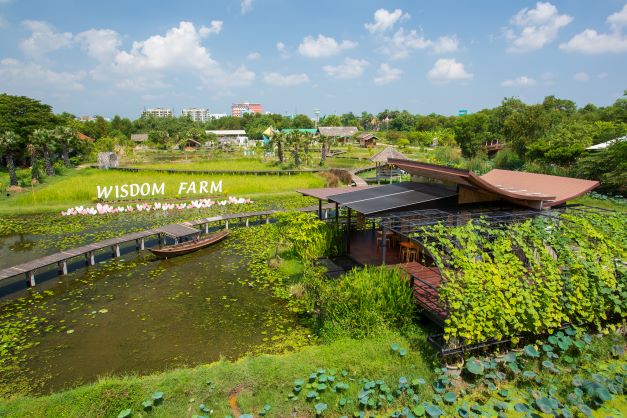 【Internship Site Introduction】The Golden Jubilee Museum of Agriculture (Bangkok, Pathum Thani, Thailand)